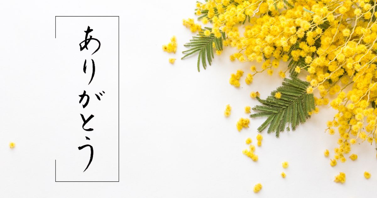 筆文字「ありがとう」。黄色のミモザの花を背景に。