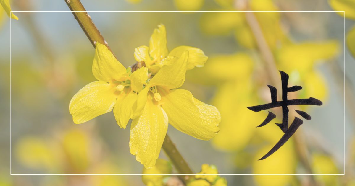 レンギョウの花のアップを背景に、漢字「歩」の筆文字