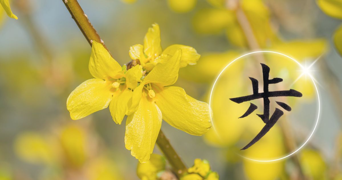 レンギョウの花のアップを背景に、漢字「歩」の筆文字