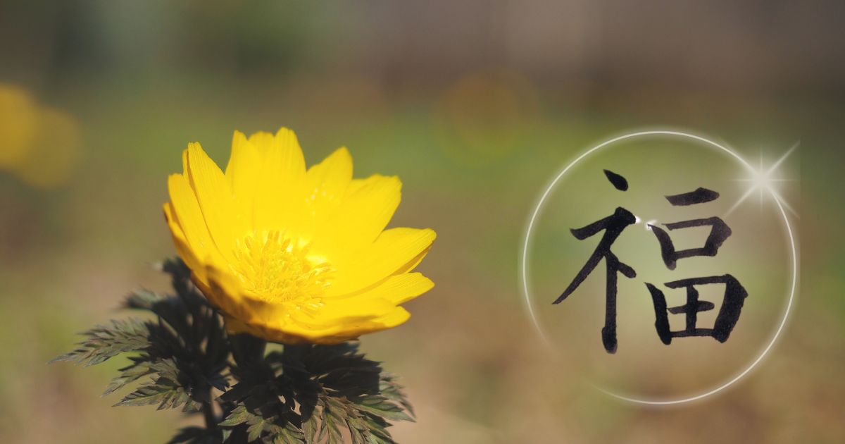 筆文字「福」。廃鶏には黄色く可憐なフクジュソウが咲いている。