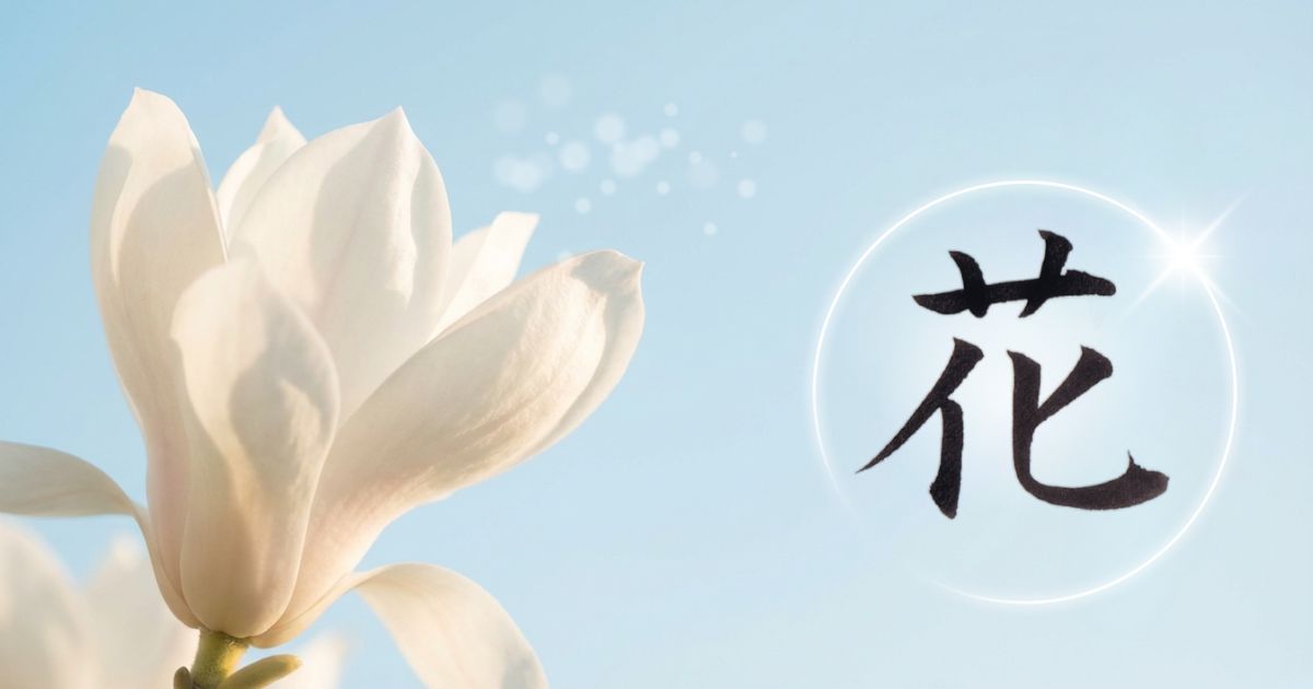 青空を背景に、真っ白なハクモクレンと「花」の筆文字