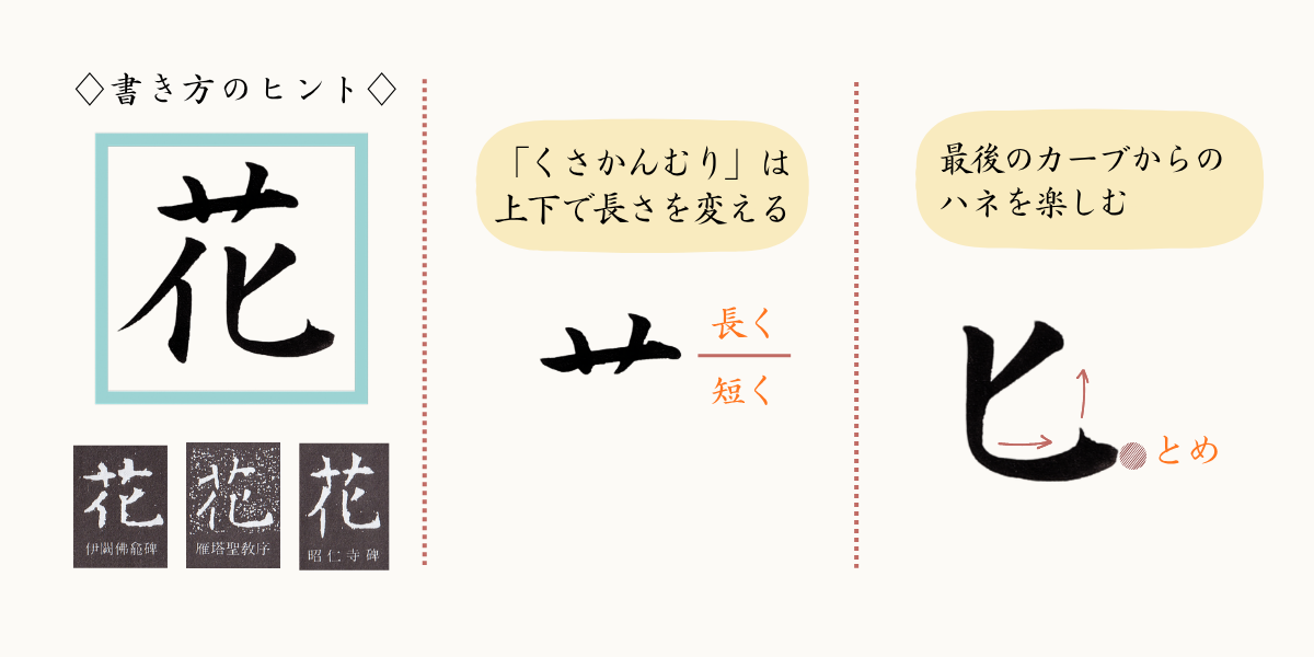 「花」の字の書き方のコツ。草冠は上部を長く、下部を短く。最終画のハネを楽しもう。