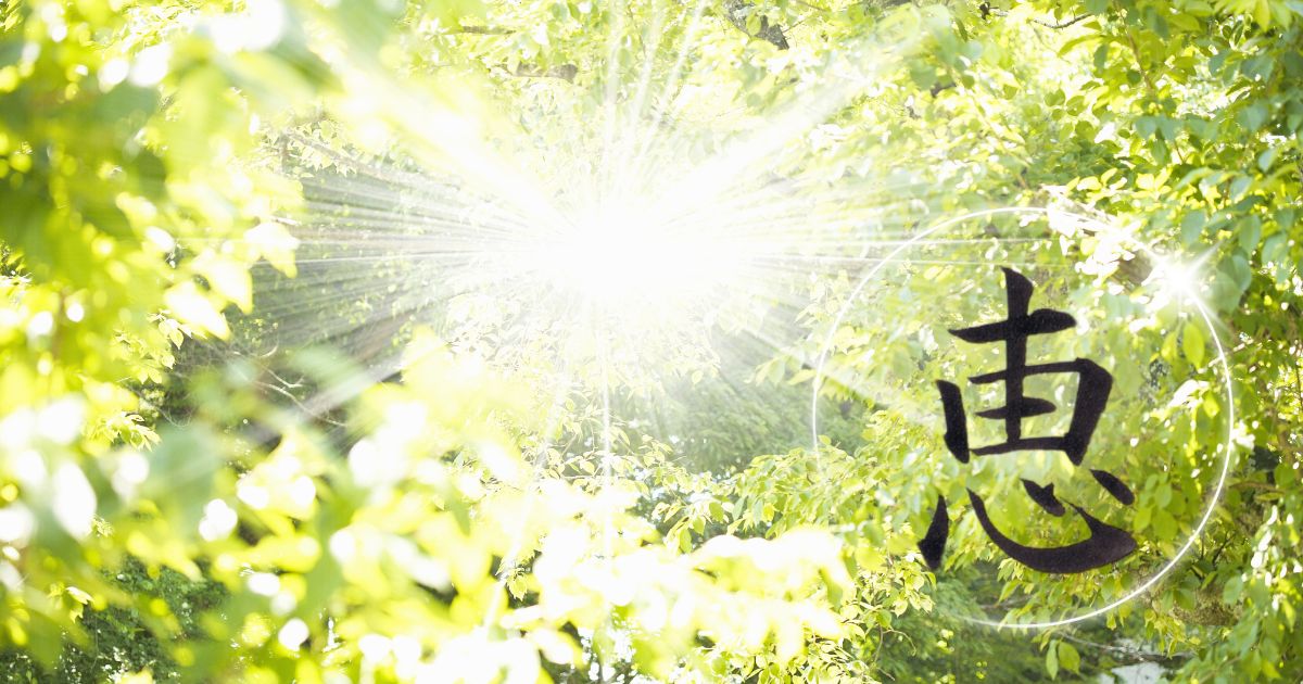 筆文字「恵」。背景には新緑がまぶしく輝いている様子。