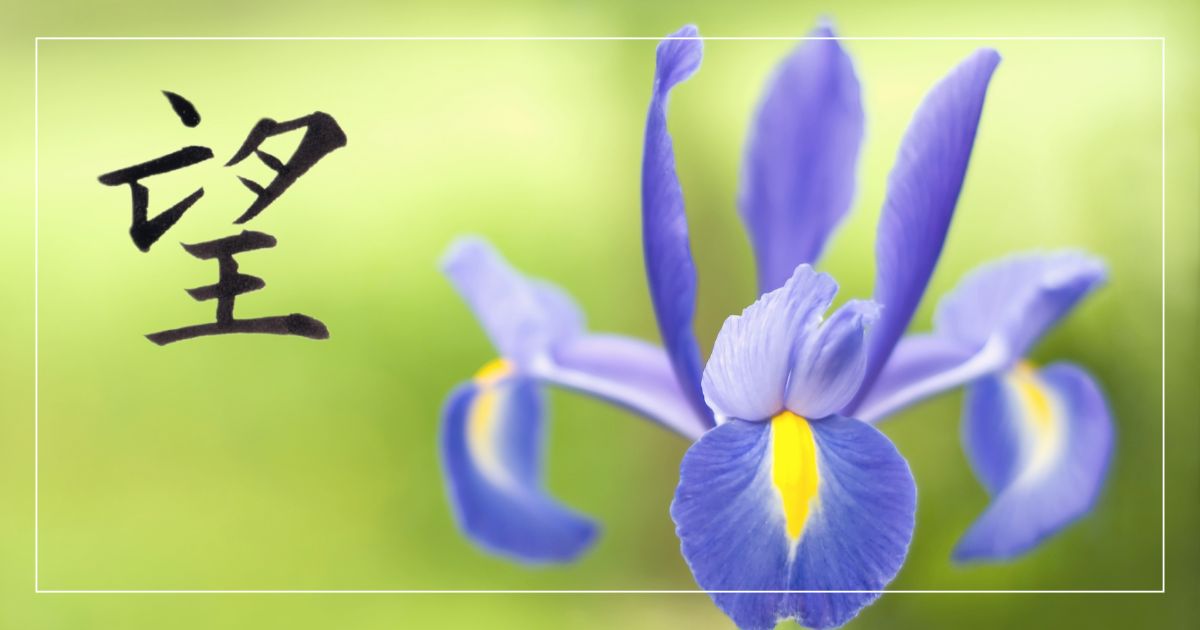 筆文字「望」。背景には、青紫のアイリスの花。