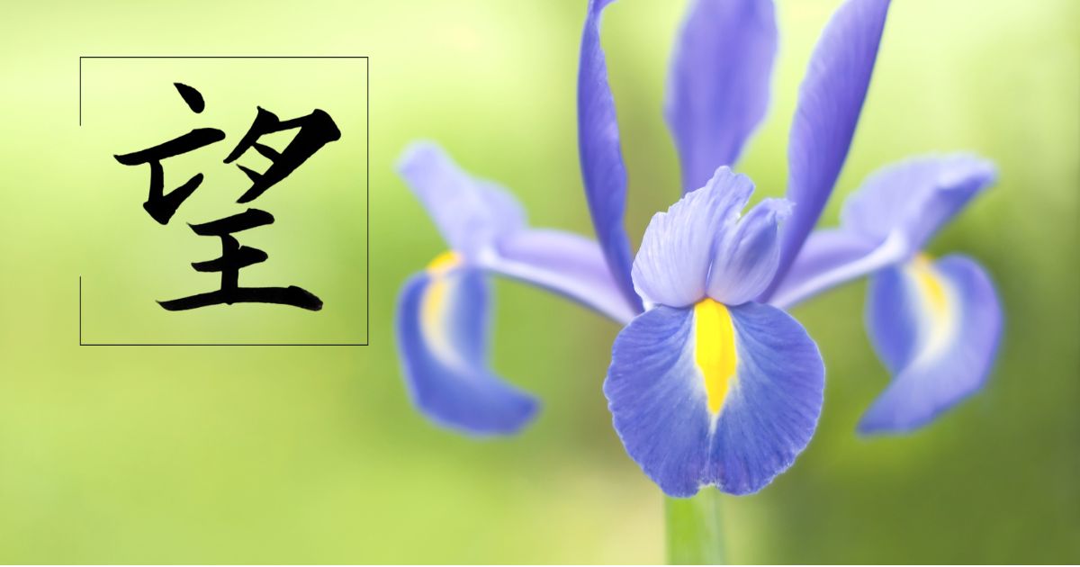 筆文字「望」。背景には、青紫のアイリスの花。