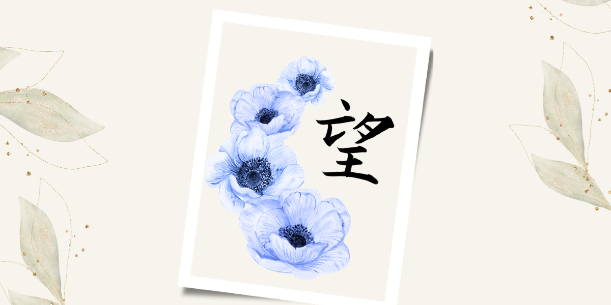 筆文字「望」の作品はがき。青色のアネモネとともに。