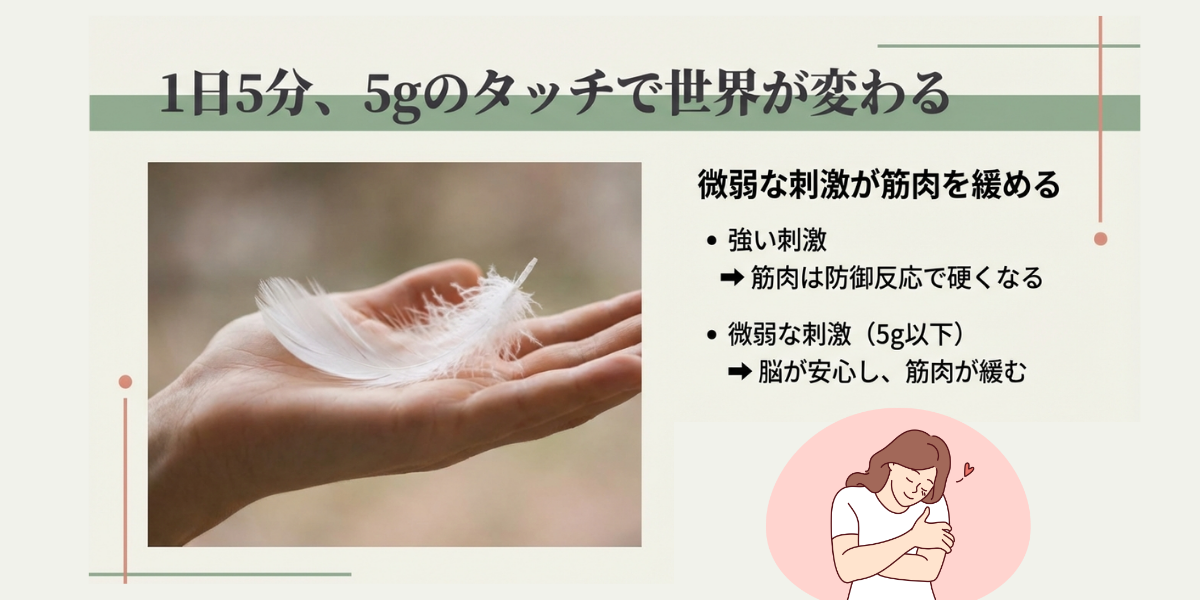 優しく触れることの説明。1枚の羽毛で例えてフェザータッチの感覚。